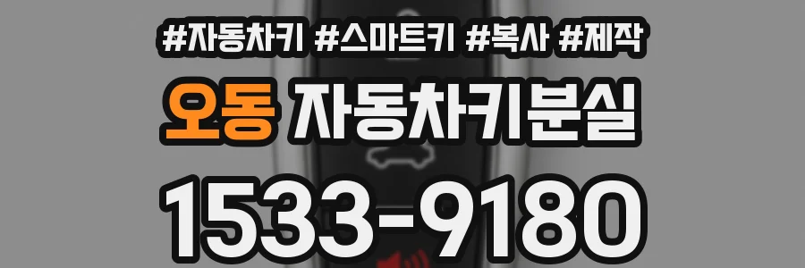 오동 자동차키분실