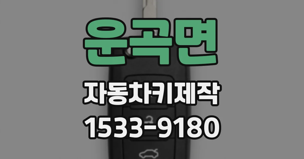 운곡면 자동차키제작
