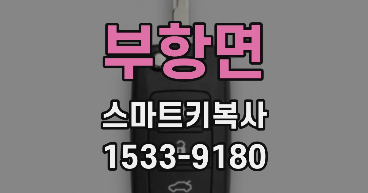 부항면 스마트키복사
