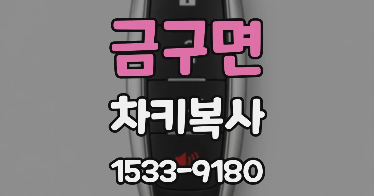 금구면 차키복사