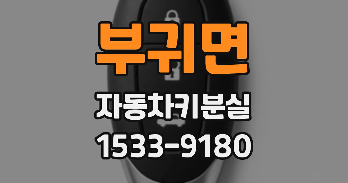 부귀면 자동차키분실