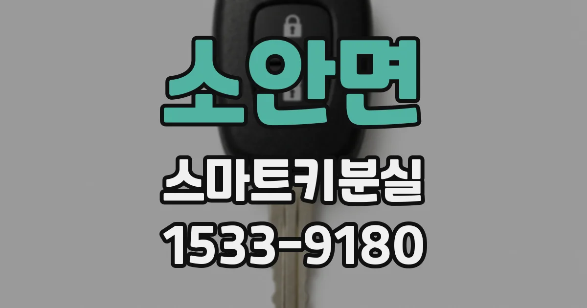 소안면 스마트키분실