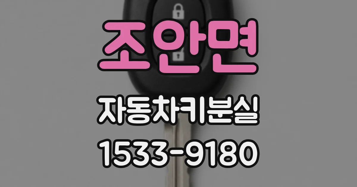조안면 자동차키분실