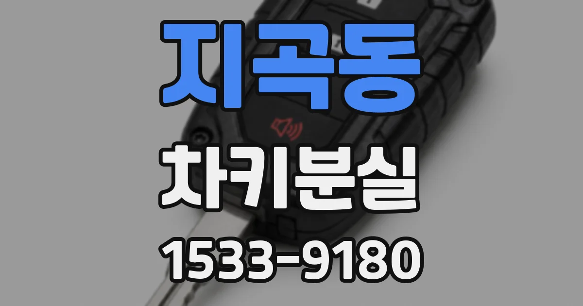 지곡동 차키분실