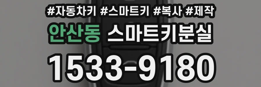 안산동 스마트키분실