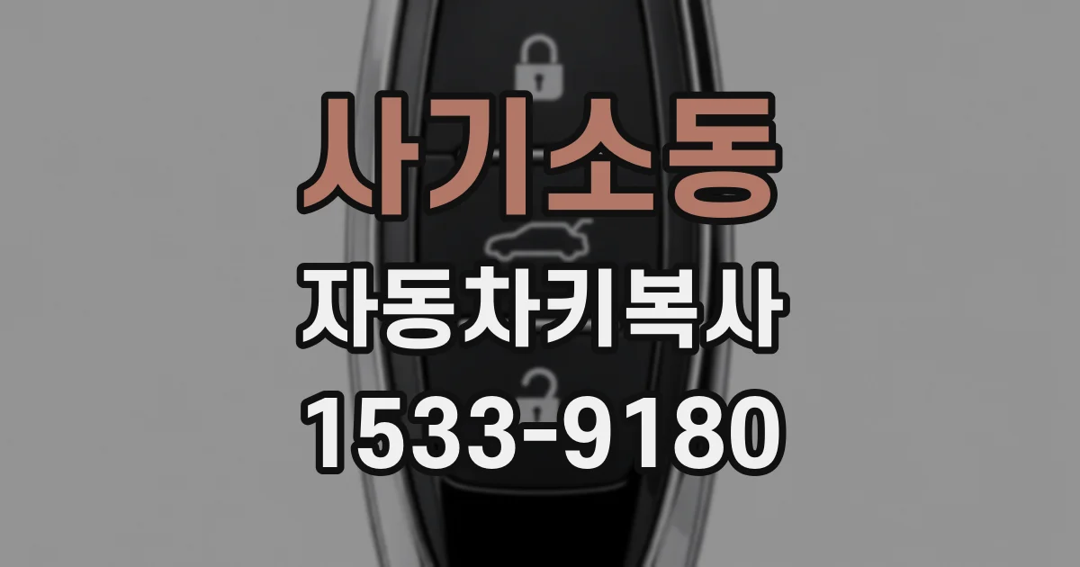 사기소동 자동차키복사