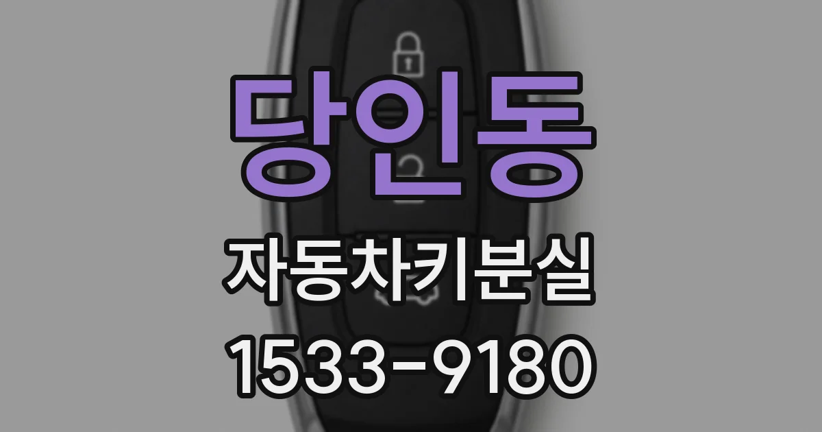 당인동 자동차키분실