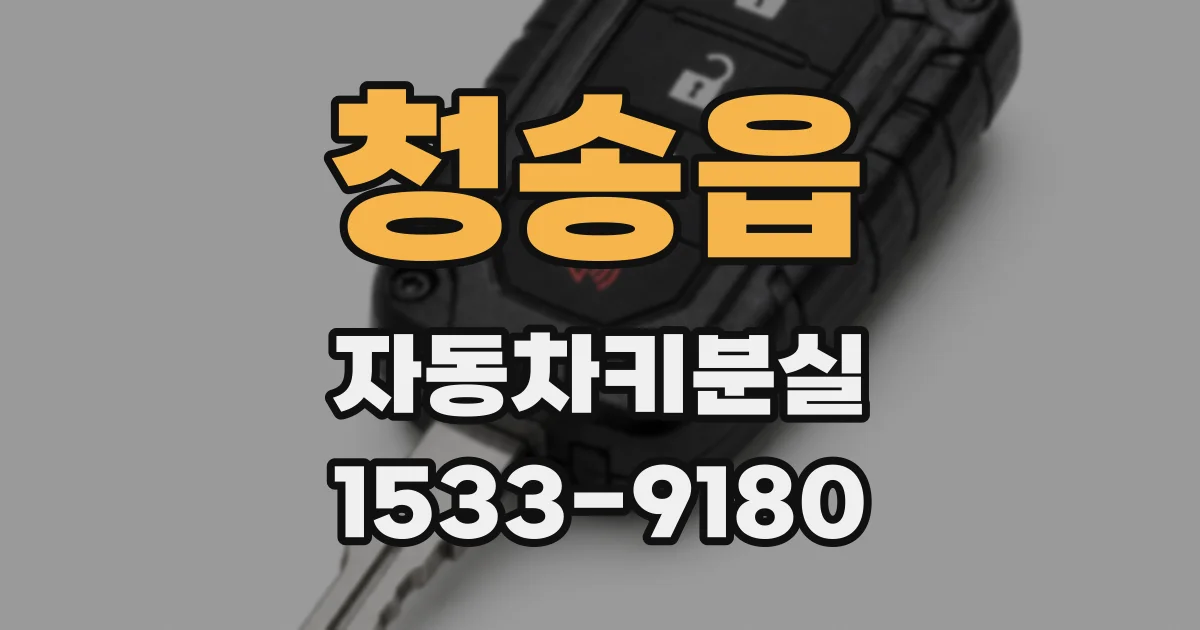 청송읍 자동차키분실