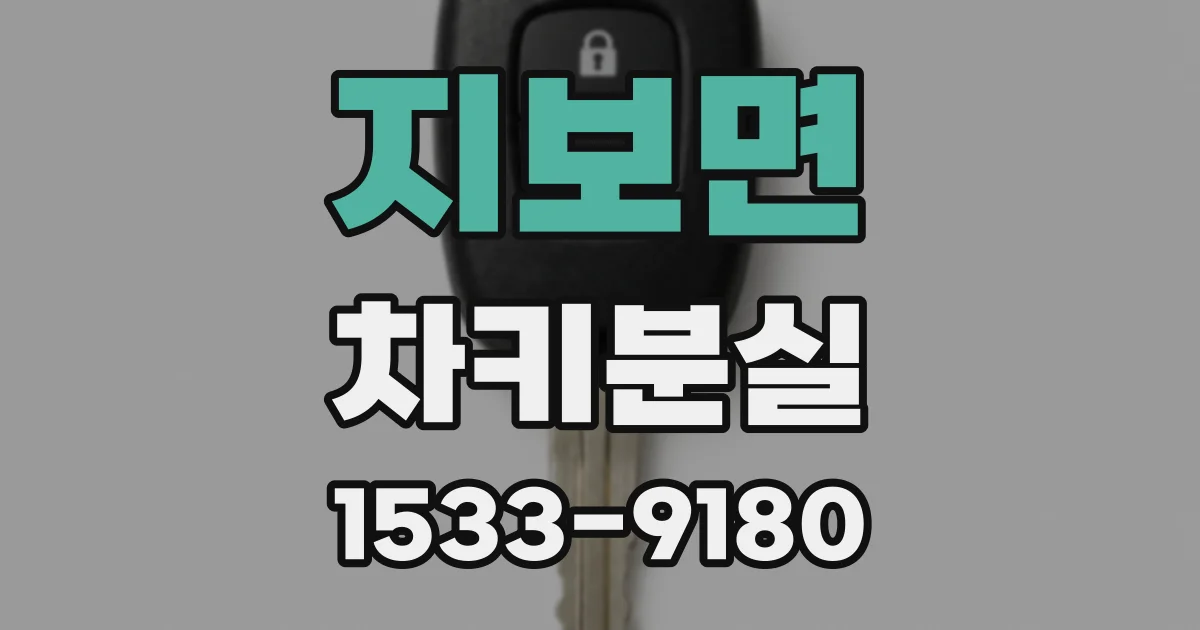 지보면 차키분실