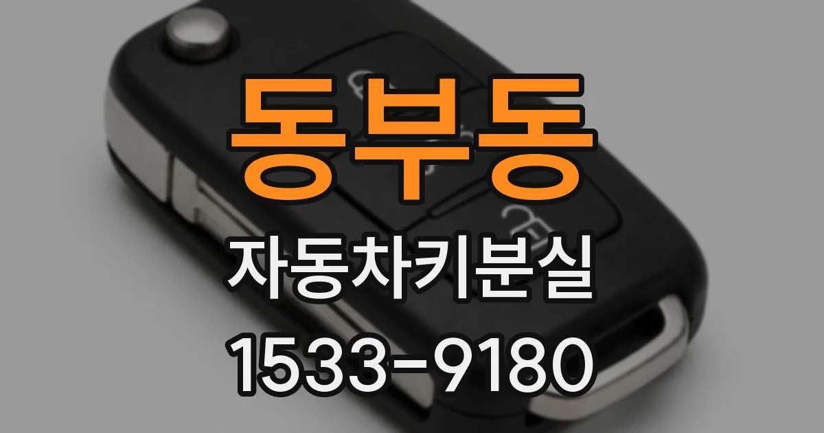 동부동 자동차키분실