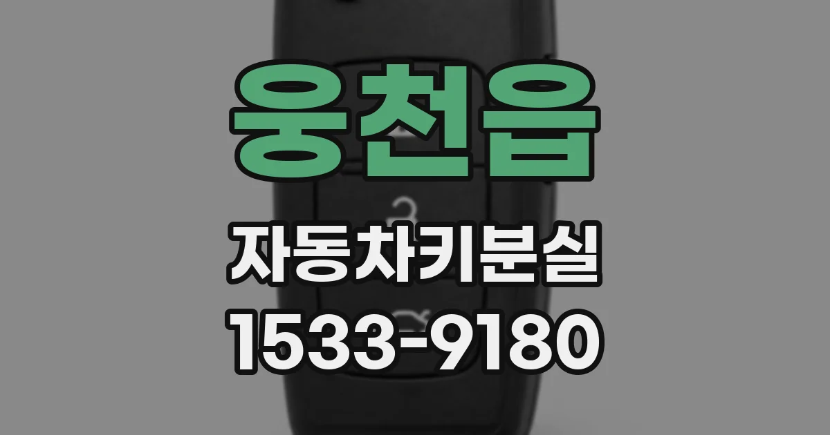 웅천읍 자동차키분실
