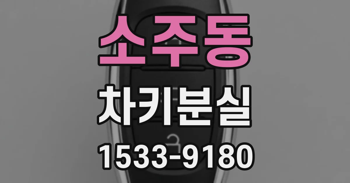 소주동 차키분실
