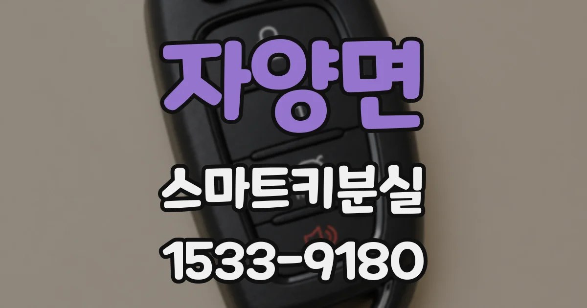 자양면 스마트키분실
