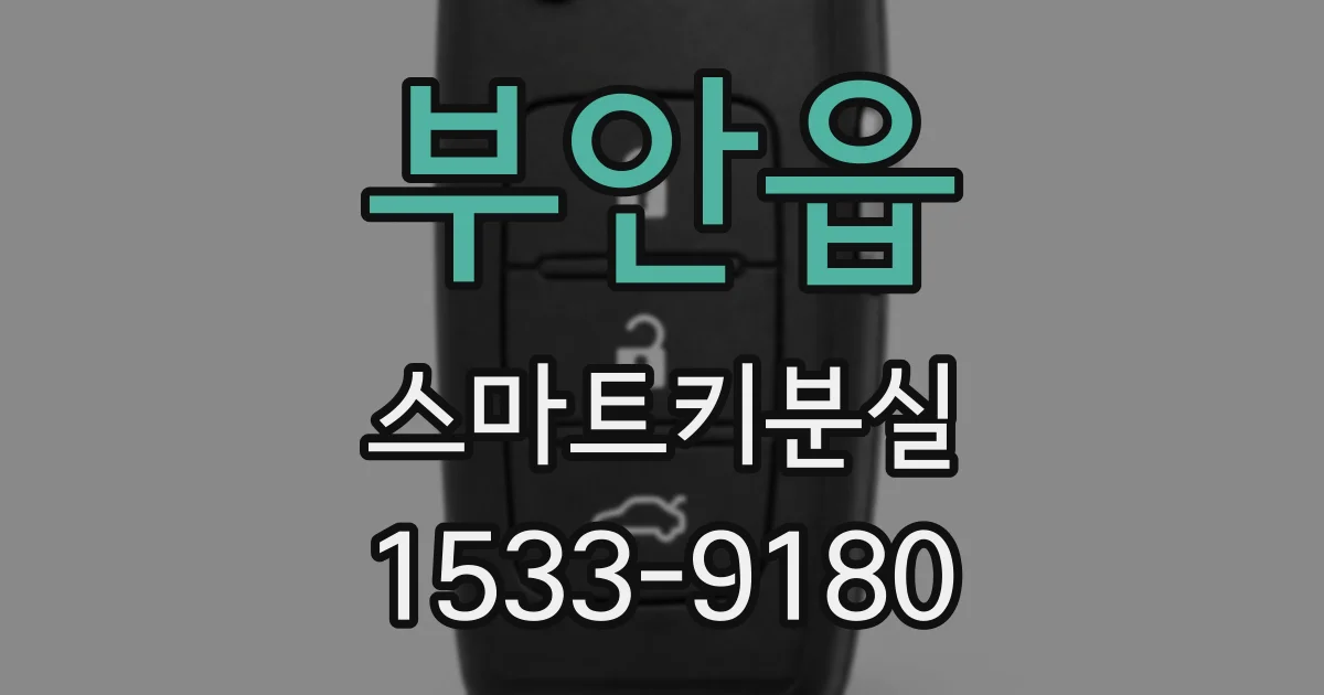 부안읍 스마트키분실