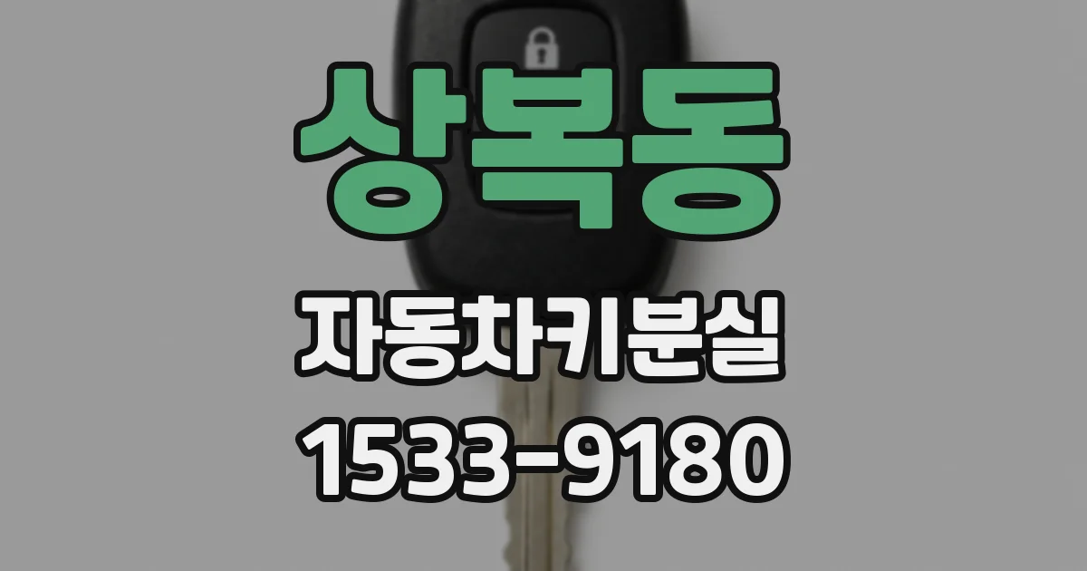 상복동 자동차키분실