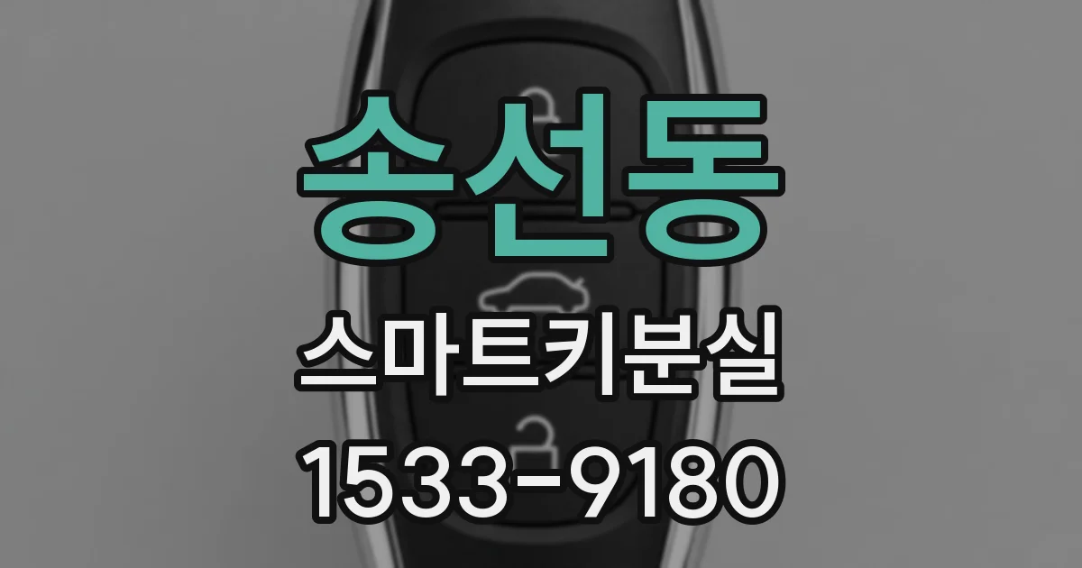 송선동 스마트키분실