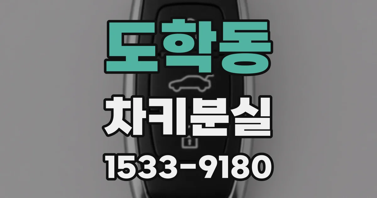 도학동 차키분실
