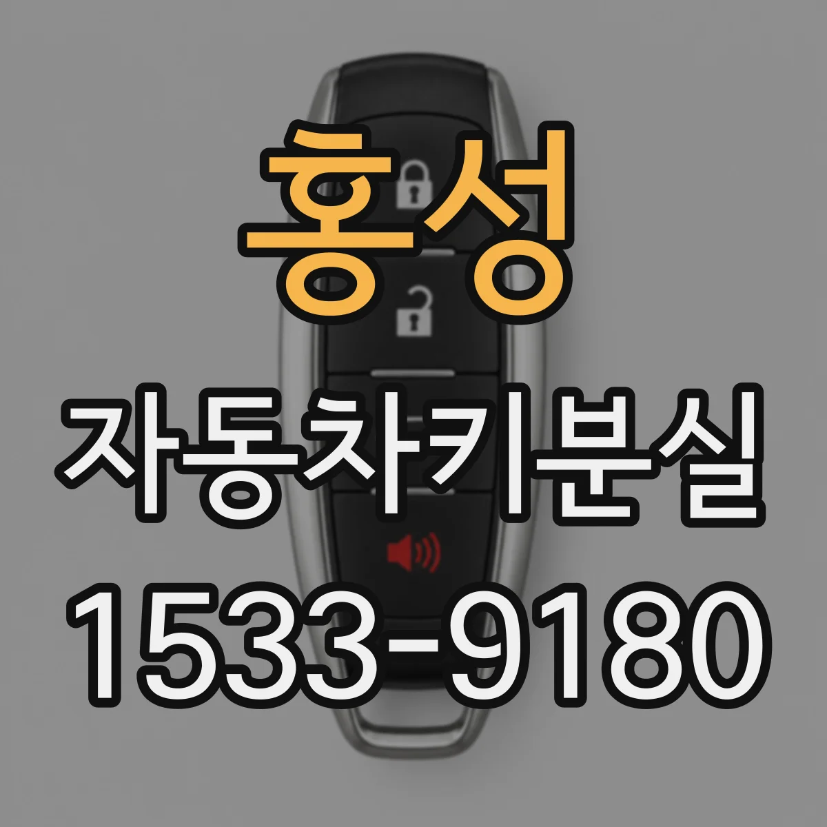 홍성 자동차키분실
