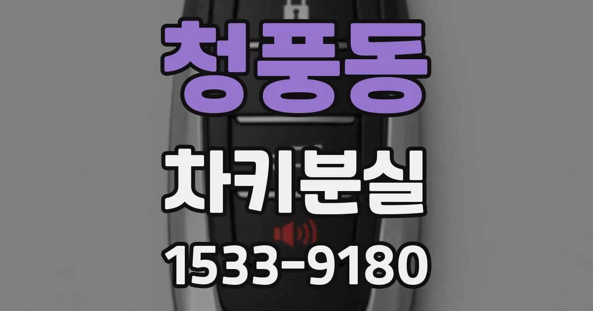 청풍동 차키분실