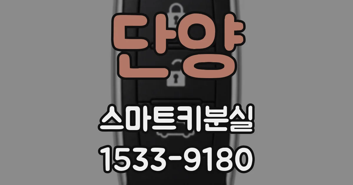 단양 스마트키분실