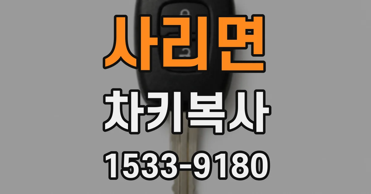 사리면 차키복사