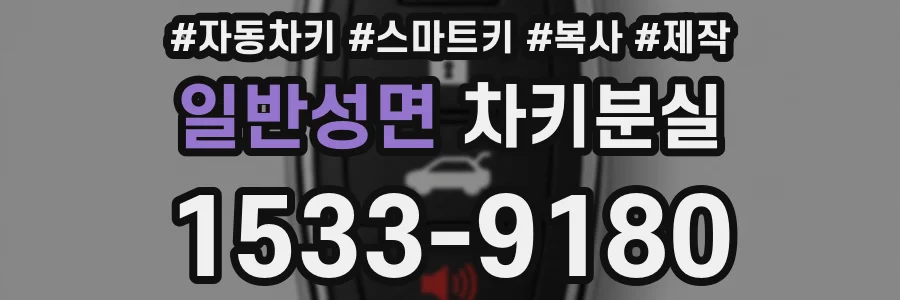 일반성면 차키분실