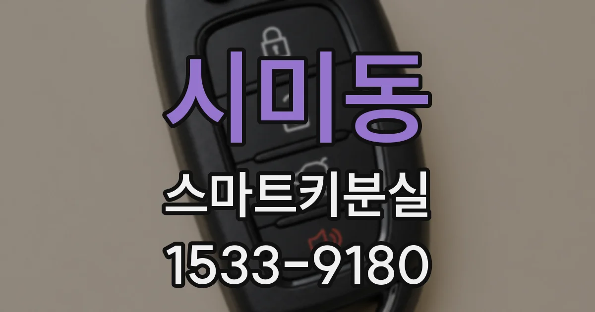 시미동 스마트키분실