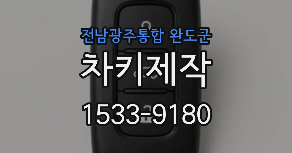 전남광주통합 완도군 차키제작