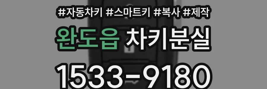 완도읍 차키분실