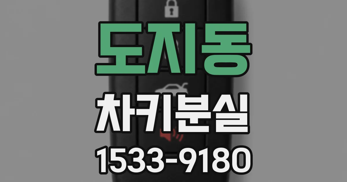 도지동 차키분실