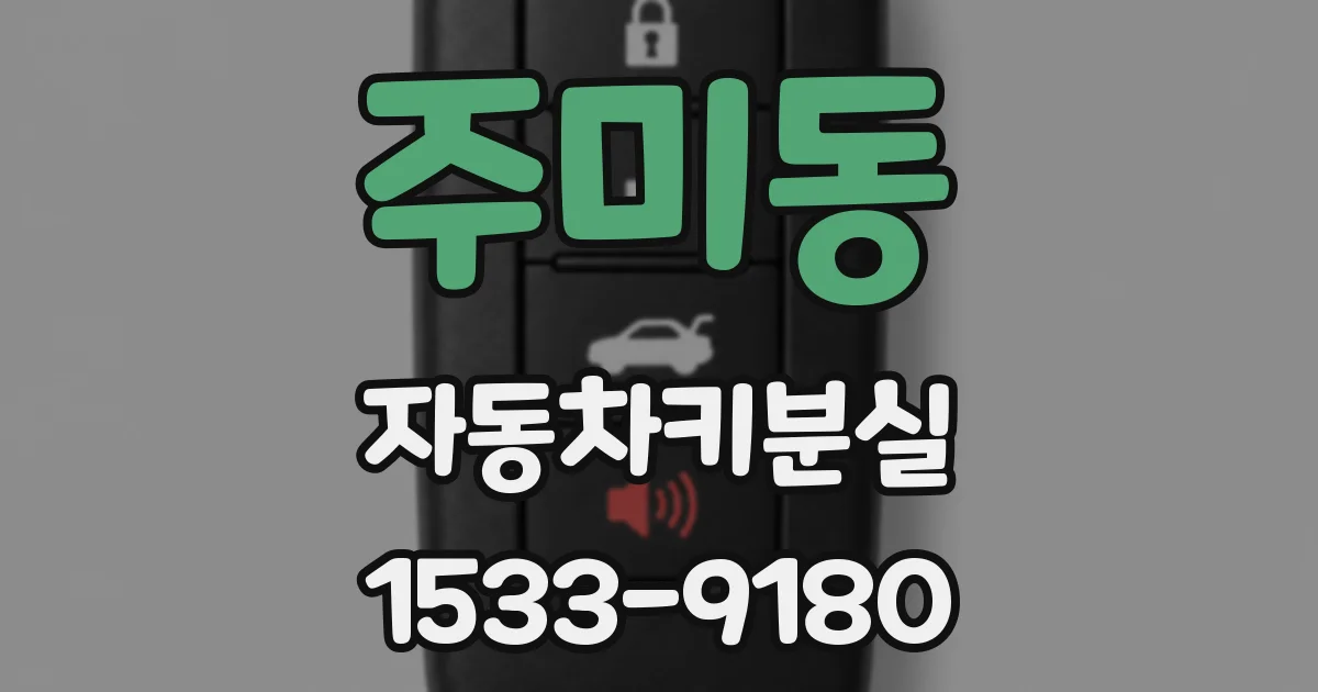 주미동 자동차키분실