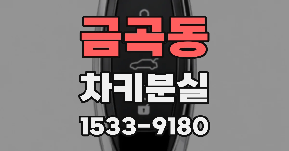 금곡동 차키분실