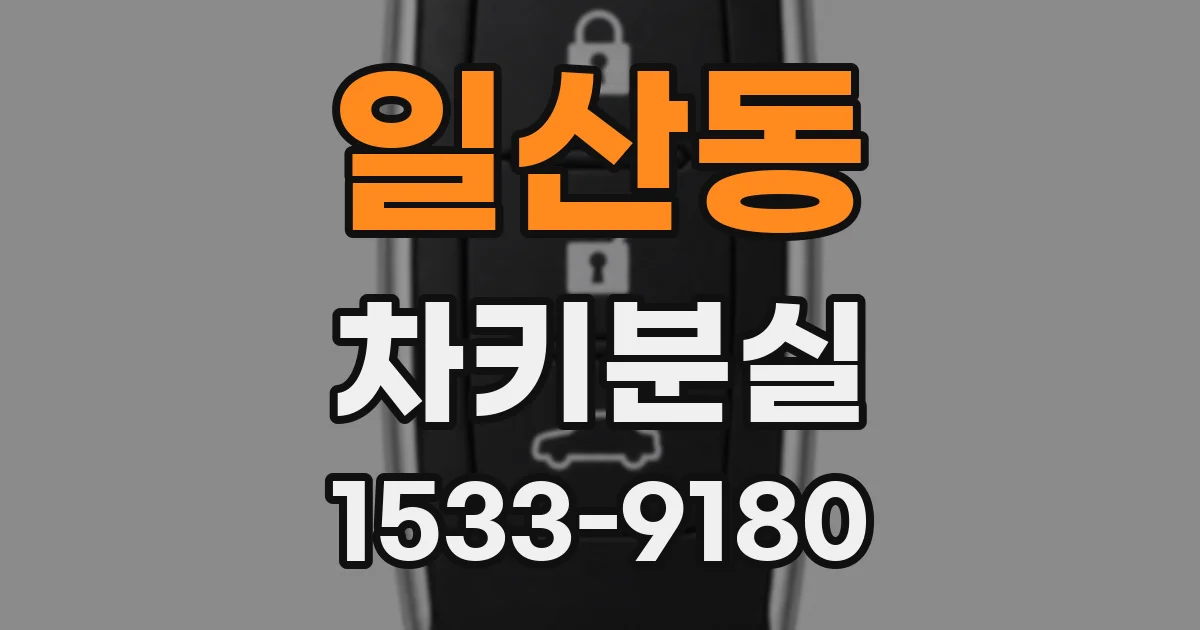 일산동 차키분실