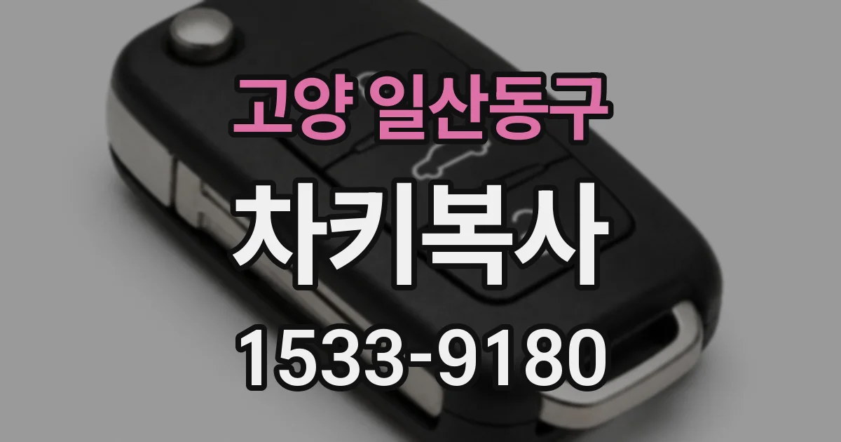고양 일산동구 차키복사