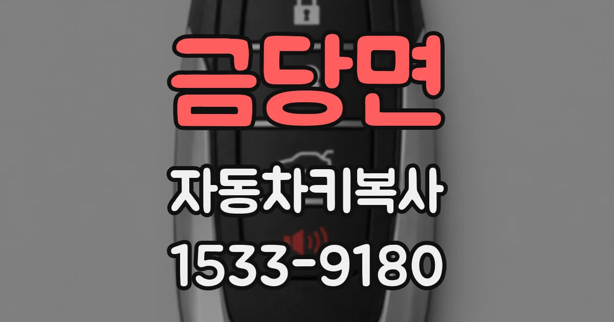 금당면 자동차키복사