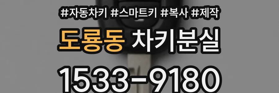 도룡동 차키분실