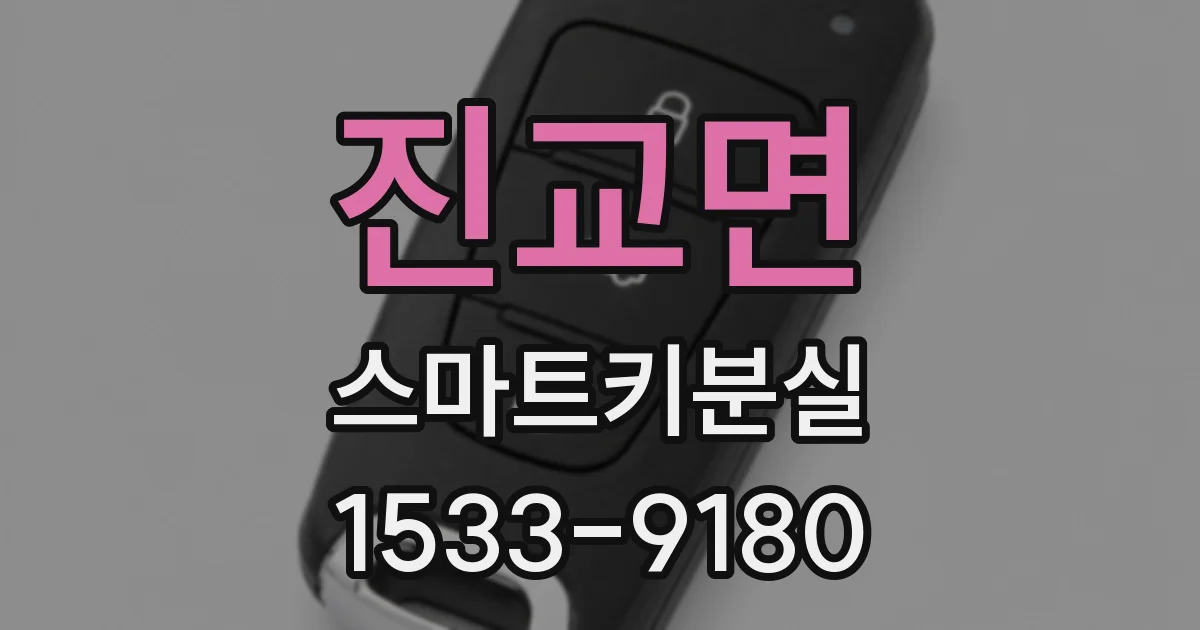 진교면 스마트키분실