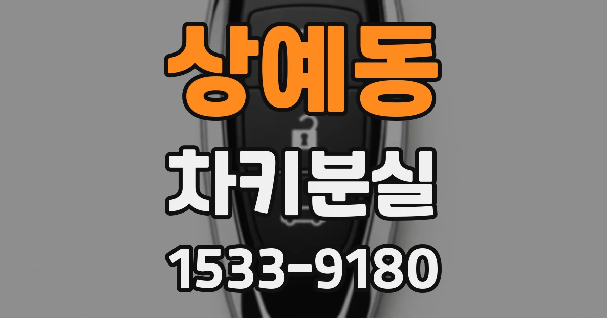 상예동 차키분실