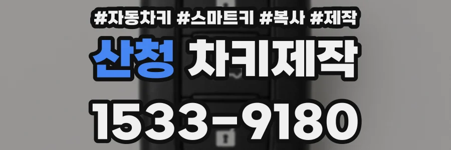 산청 차키제작
