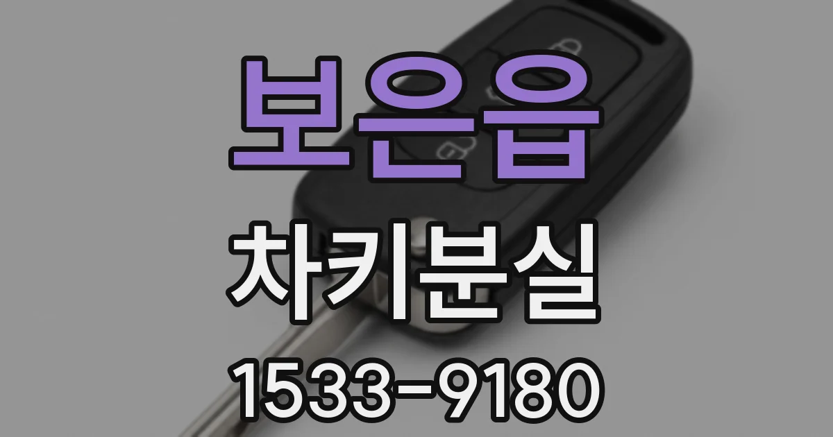 보은읍 차키분실