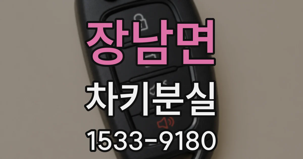 장남면 차키분실