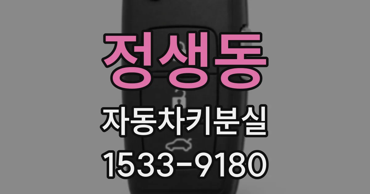 정생동 자동차키분실