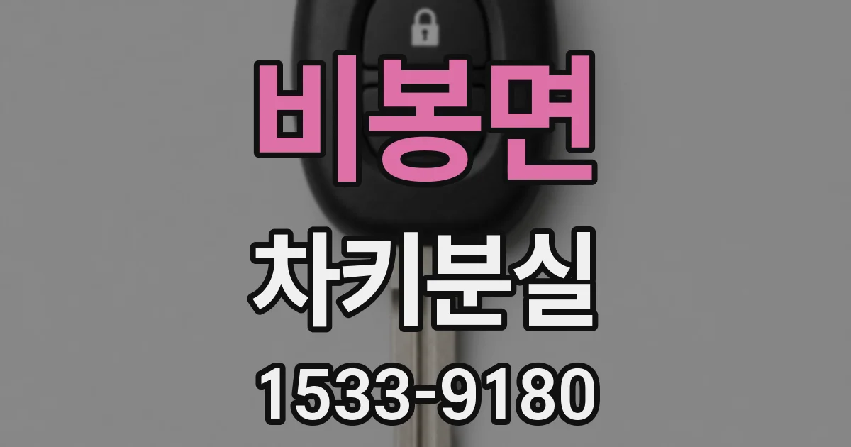 비봉면 차키분실