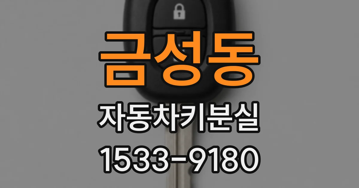 금성동 자동차키분실