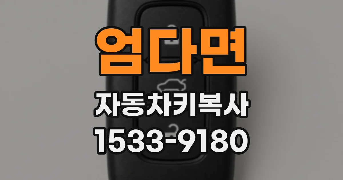 엄다면 자동차키복사