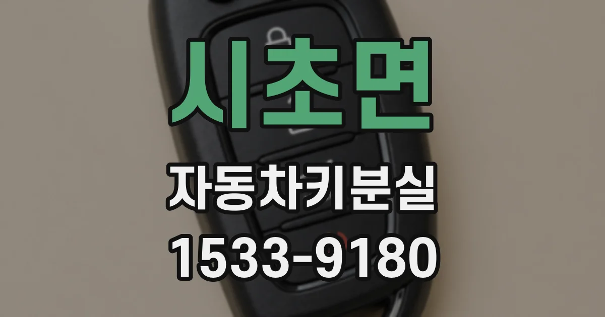 시초면 자동차키분실