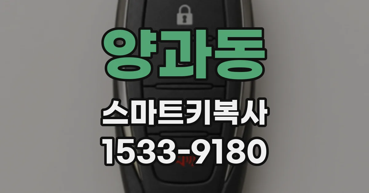 양과동 스마트키복사