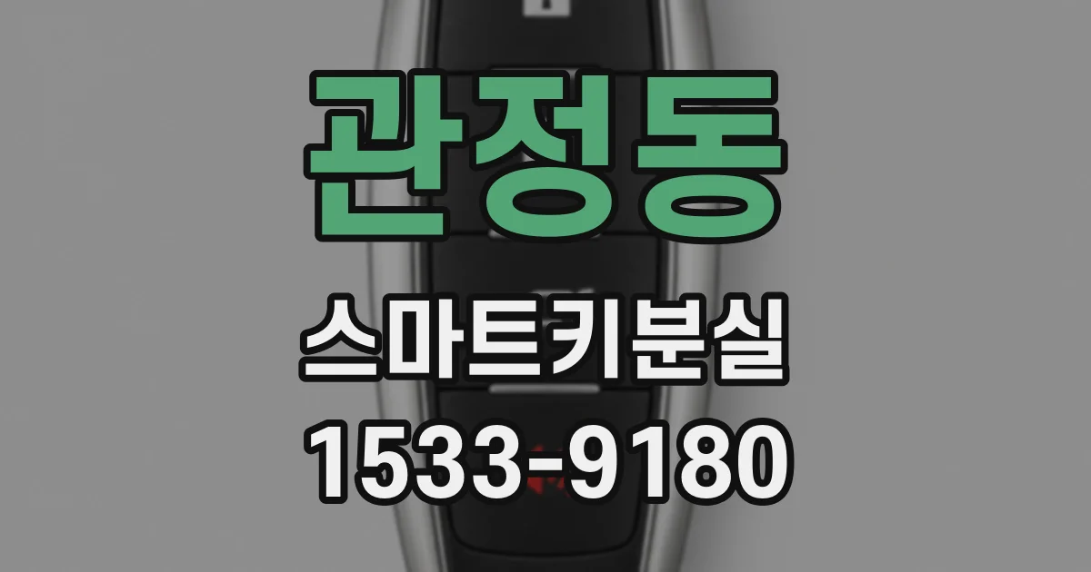 관정동 스마트키분실