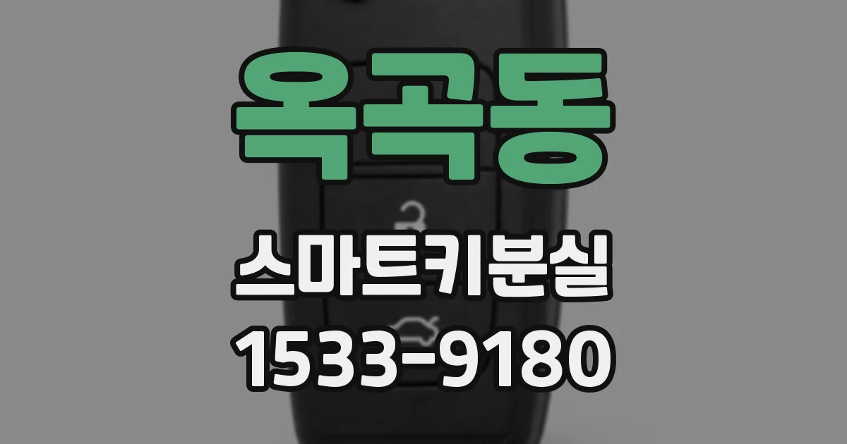 옥곡동 스마트키분실