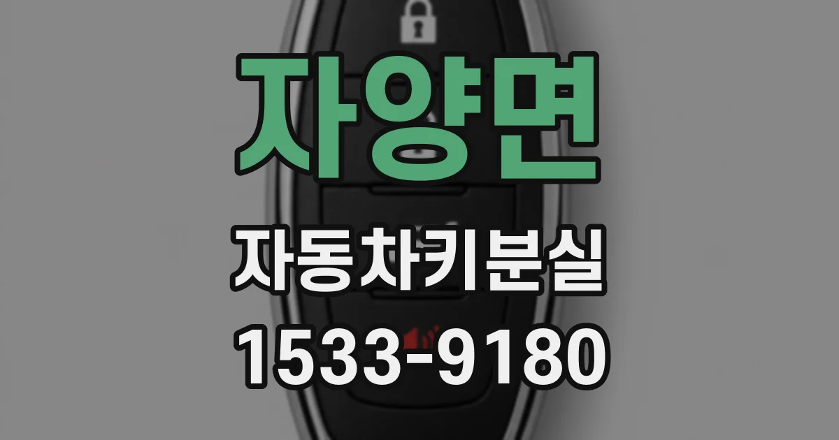 자양면 자동차키분실